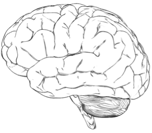 Huisstijlontwikkeling lettertype online